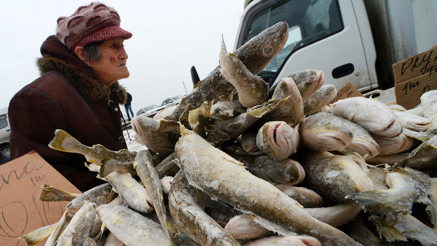 Посетитель у прилавка с рыбой на продовольственной ярмарке на центральной площади Владивостока