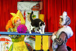 «Как коты спасли Федору», Театр кошек Куклачёва. Программа «Большие Гастроли», для детей и молодежи