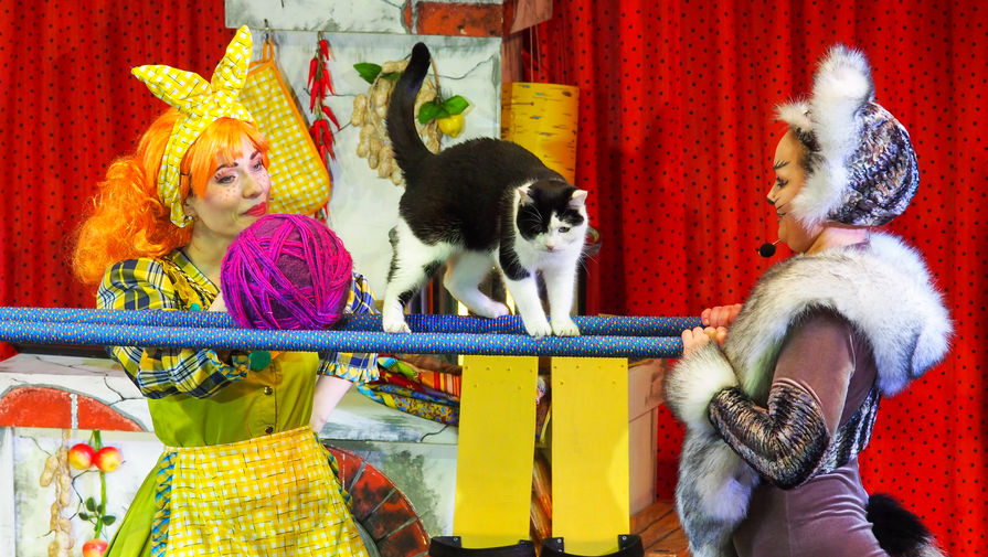 Театр кошек Куклачева планирует масштабные гастроли в Донбассе