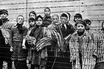 За все годы существования комплекса Освенцим было всего лишь 300 удачных попыток побега
