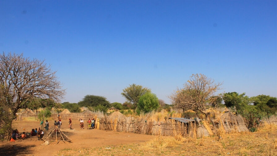 В Намибии умерли 15 человек из одной семьи, отравившись кашей