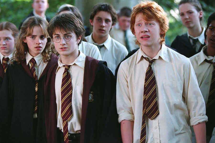 <b>Франшиза &laquo;Гарри Поттер&raquo; (2001-2011)</b>
<br><br>
Кастинг на&nbsp;роль Гермионы Уотсон прошла в&nbsp;девять лет. И на&nbsp;последующие десять с&nbsp;лишним прописалась в&nbsp;Хогвартсе, что сделало ее не просто суперзвездой, но самой популярной девочкой в&nbsp;мире. И самой богатой, причем не просто девочкой, но актрисой вообще: в&nbsp;2009 году Эмма была занесена в&nbsp;Книгу рекордов Гиннеса как самая высокооплачиваемая артистка десятилетия. В&nbsp;общем, никакой ловкости рук &mdash; одна магия.
