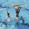В России может пройти один из этапов Кубка мира по синхронному плаванию