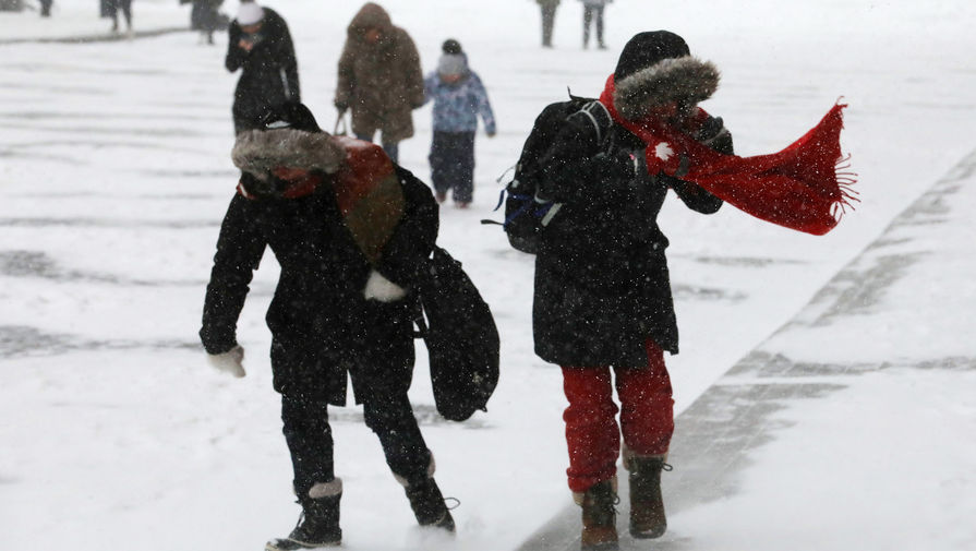 Жителей российского региона предупредили о сильном ветре и снеге