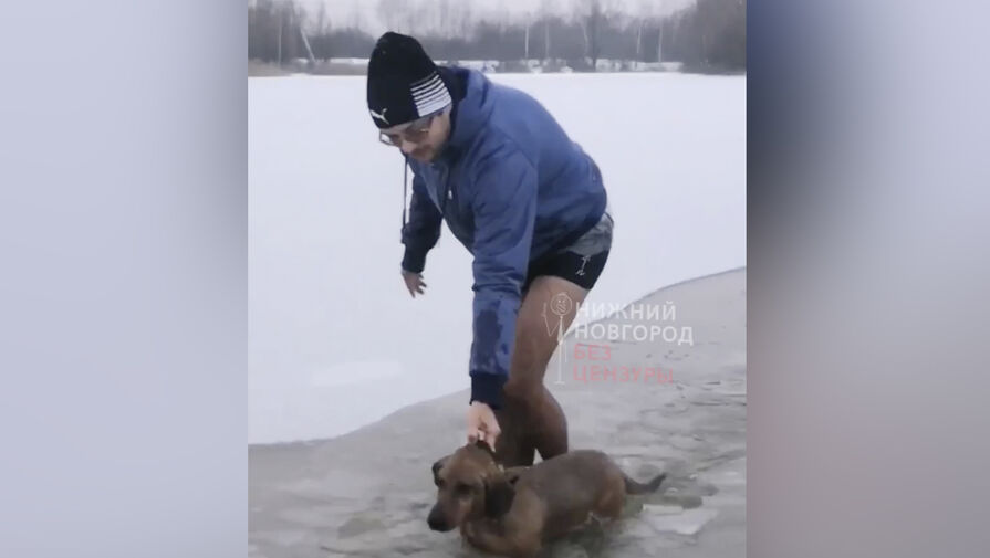 Спортсмен-морж спас тонущую в ледяной воде собаку во время пробежки с друзьями