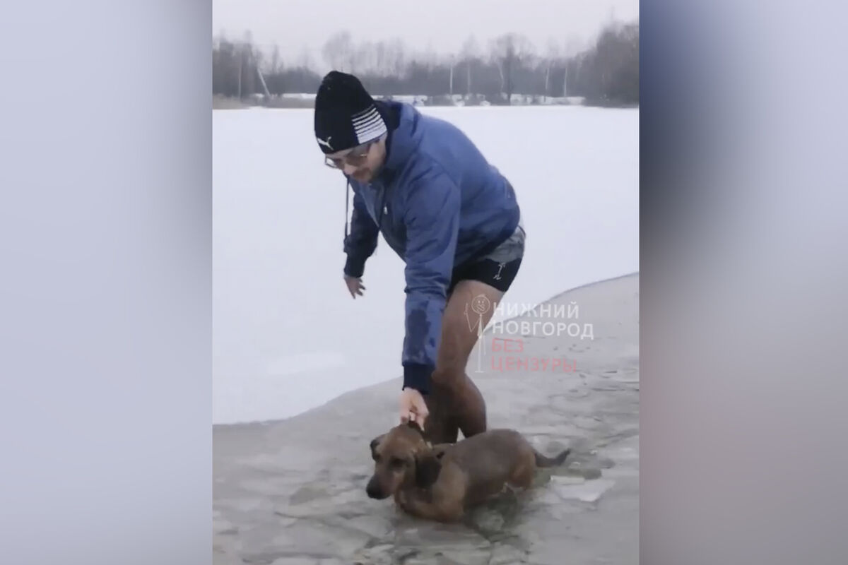 Спортсмен-морж спас тонущую в ледяной воде собаку во время пробежки с  друзьями - Газета.Ru | Новости