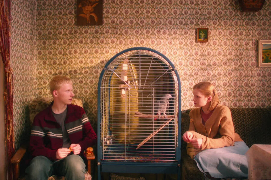 Дебютант Савелий Осадчий выпорхнул из-под продюсерского крыла Ивана И. Твердовского, что чувствуется (интонационно и идеологически «Мальчик-птица» во многом близок безжалостным «Подбросам»), но одновременно лента напоминает и работы Романа Михайлова: схожая оранжево-желтая палитра, все тянется к&nbsp;божественной благодати. Разве что нирваны тут никто не достигает, а фамилии Твердовский и Михайлов клеятся хуже, чем слова «мальчик» и «птица». В&nbsp;результате фильм ощущается как слабый фанфик по&nbsp;мотивам безрадостной русской литературы, который сгубила прямолинейность: важная метафорическая функция ложится на&nbsp;плечи попугайчика с&nbsp;говорящей кличкой Герасим, кульминационный момент рифмуется с&nbsp;чудовищной сценой из&nbsp;недавней экранизации «Преступления и наказания», где Соню Мармеладову вместо Дианы Енакаевой начинает играть Алена Михайлова. Выходит так, что девочки становятся женщинами, когда подвергаются насилию, а мальчики становятся мужчинами — когда насилуют. Птичку жалко.
<br><br>
<b>Оценка:</b> 1,5/5
