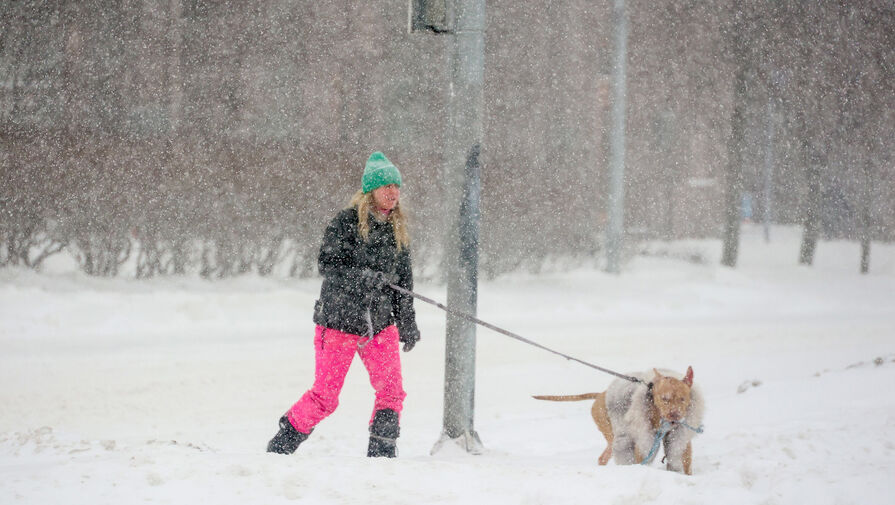 Назван период пика снегопада в Москве и области