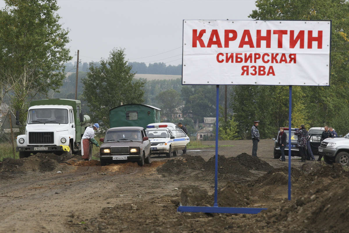 Не только в книгах и кино: кто и как сейчас заражается чумой, проказой и  сибирской язвой - Газета.Ru