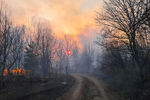 Ситуация с распространением лесных пожаров в запретной зоне вокруг Чернобыля, 5 апреля 2020 года