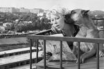 Актриса Тамара Носова с собакой на балконе, 1963 год