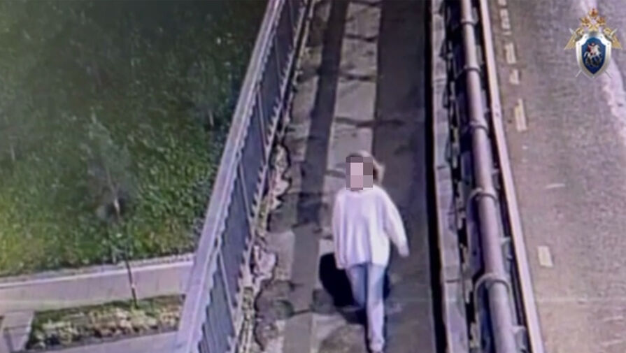Россиянка на допросе призналась, что выбросила чемодан с телом сына