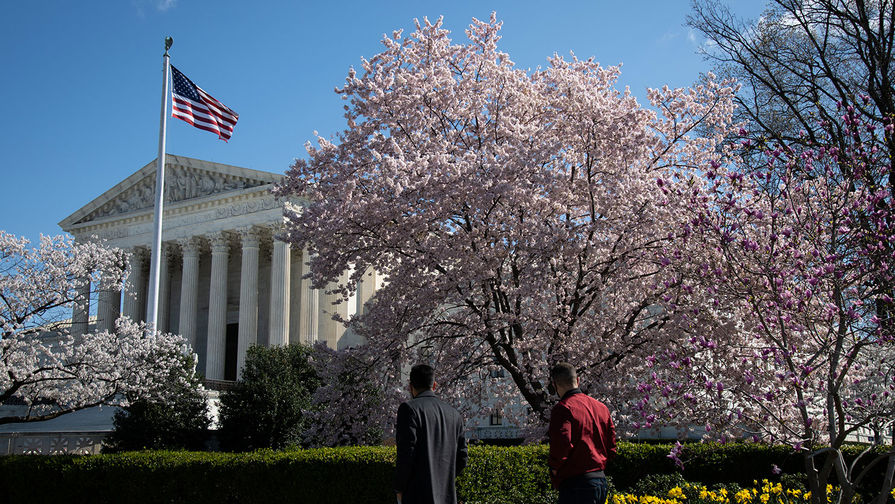 Цветение сакуры в Вашингтоне, март 2021 года 