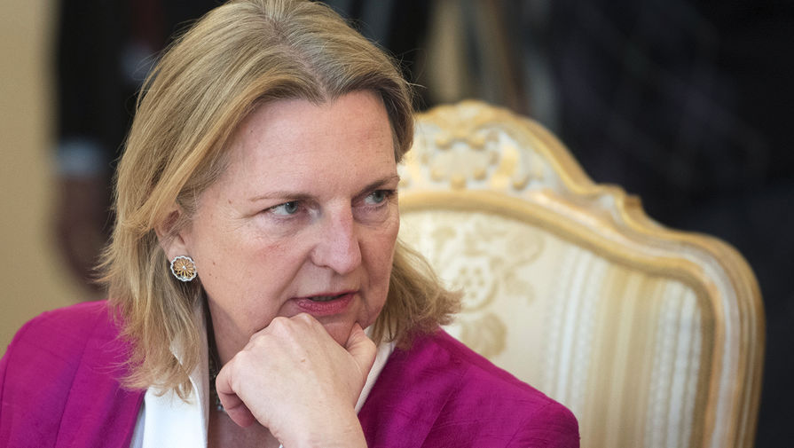 Экс-глава МИД Австрии Кнайсль: нет бенефициара сокращения поставок газа из РФ