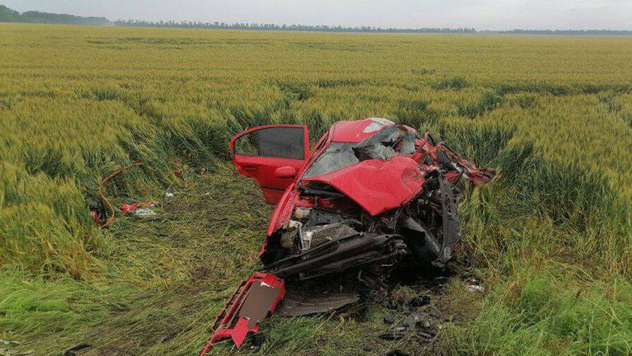 Двое взрослых и ребенок погибли в аварии с грузовиком