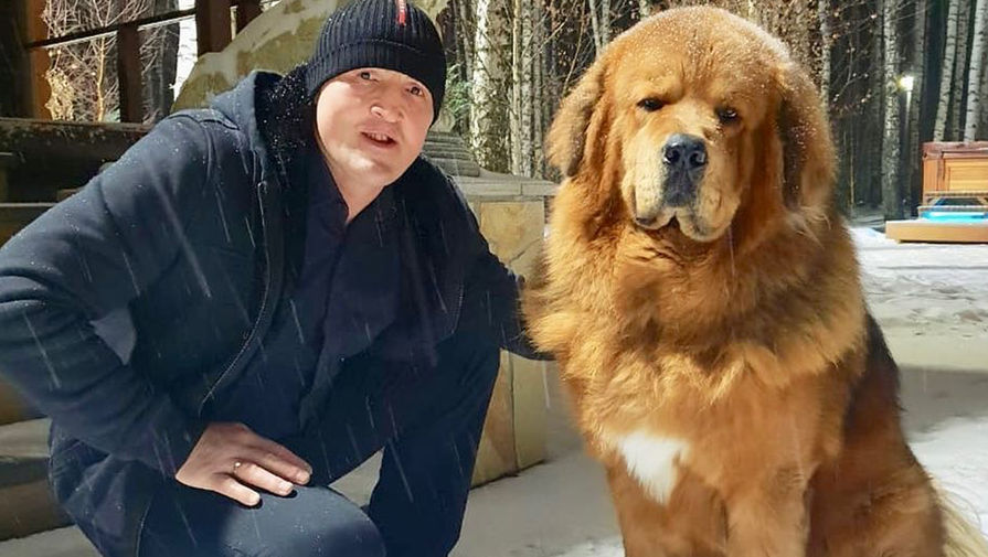 Боксер Денис Лебедев со своей собакой