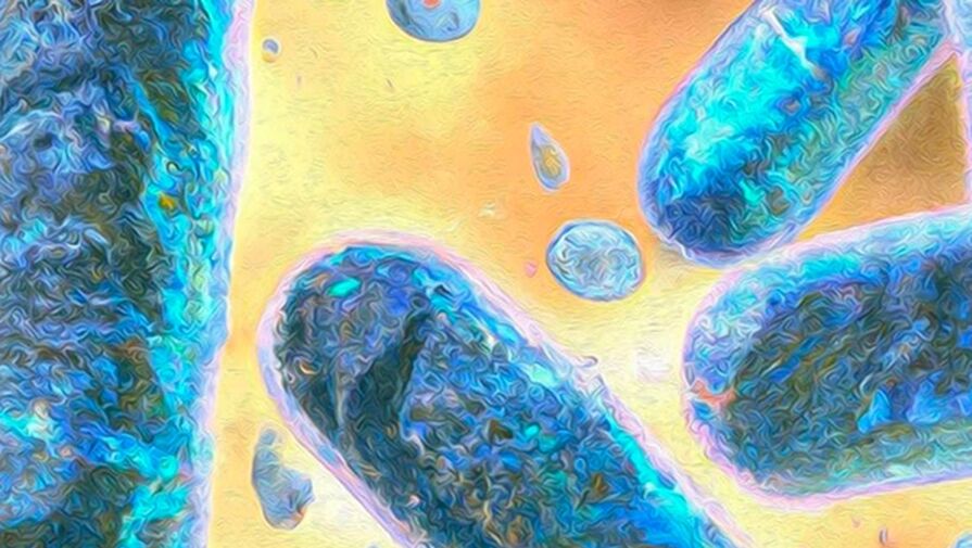 Ученые создали крупные наноклетки для доставки препаратов внутрь организма