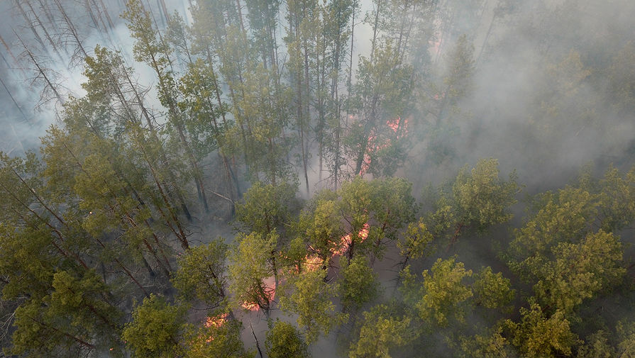 Ситуация с распространением лесных пожаров в запретной зоне вокруг Чернобыля, 5 апреля 2020 года