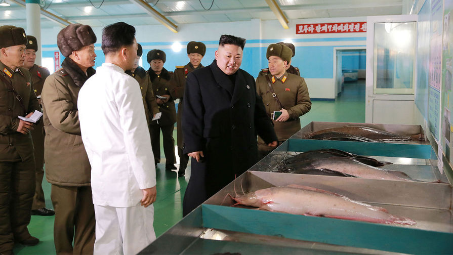 Ким Чен Ын во время посещения Самчхонской рыбной фермы, снимки опубликованы 21&nbsp;февраля 2017&nbsp;года
