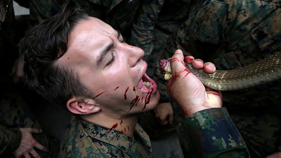 Морпех США пьет кровь кобры во время учений Cobra Gold в&nbsp;Таиланде, 29 февраля 2018 год