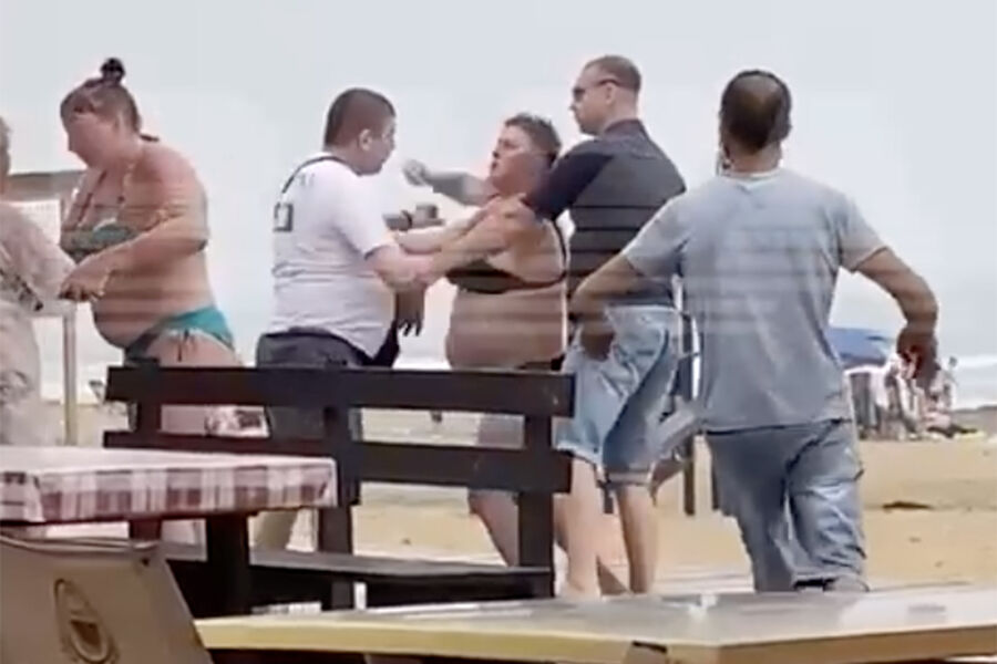 Пьяные женщины избили тюленей на калифорнийском пляже (видео)