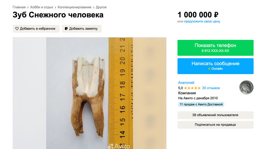 Россиянин продает зуб снежного человека, который нашел на севере Пермского края