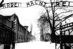 Все три комплекса лагерей строились силами их будущих заключенных. Над воротами лагеря располагалась чугунная надпись: «Arbeit macht frei» («Труд освобождает»)
