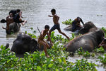 Мальчишки играют на реке Чао Прайя после празднования Национального Дня слонов в древнем городе Аюттхая, Таиланд, 13 марта 2021 года