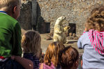 Белый медведь в Ленинградском зоопарке