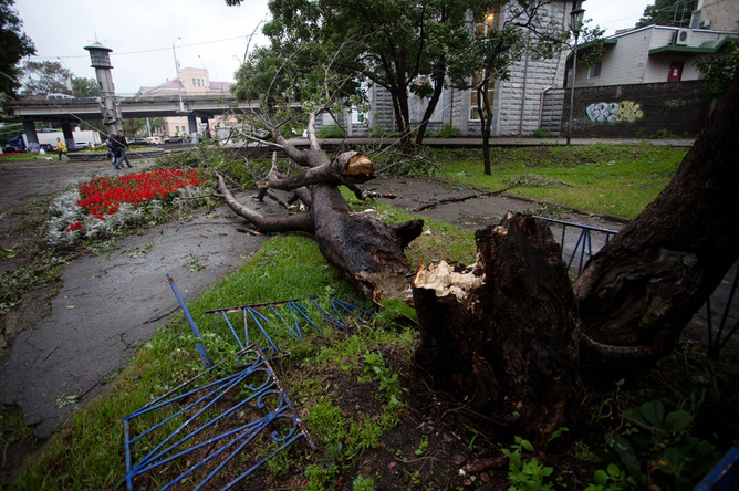В Хабаровский край из Приморья пришел тайфун «Болавен»