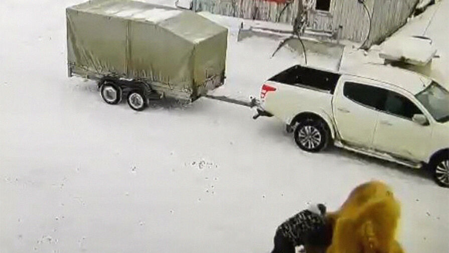 Shot: верблюда, затоптавшего насмерть охранника охотничьей базы в Омской области, убили