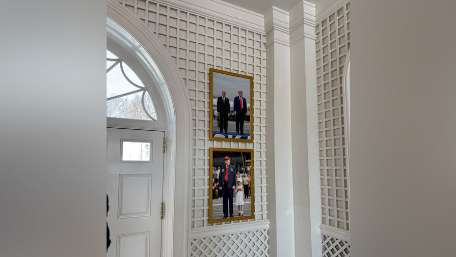 Песков рассказал, есть ли в резиденциях Путина совместные фотографии с Трампом