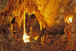 Национальный парк «Мамонтова пещера» в Кентукки