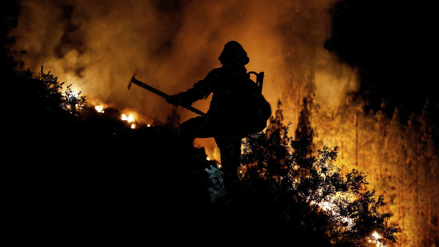 Несколько регионов Турции охватили лесные пожары