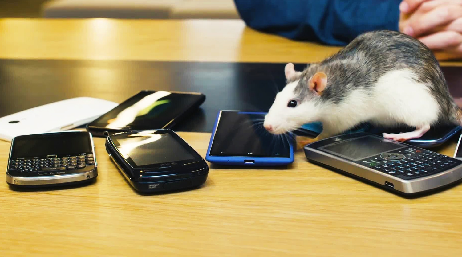 Что будет если долго в телефоне. Мышка для телефона. Мышь с телефоном. Крыса с телефоном. Мышка мобильник.