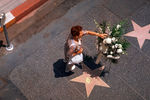 Памятный венок у звезды певицы Эллы Фицджеральд на Голливудской Аллее славы в Лос-Анджелесе. Фицджеральд скончалась в 1996 году в своем доме в Беверли-Хиллз в возрасте 78 лет.
