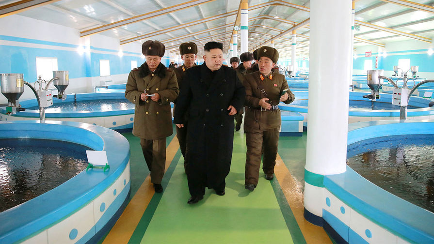 Ким Чен Ын во время посещения Самчхонской рыбной фермы, снимки опубликованы 21&nbsp;февраля 2017&nbsp;года