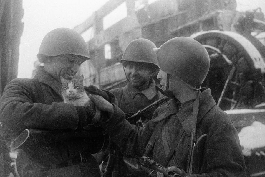 Сталинградская битва. &laquo;Мирные воспоминания&raquo;, 1942&nbsp;год 