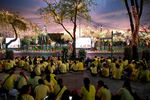 Люди в желтых футболках в честь королевской семьи накануне официальной церемонии коронации Махи Вачиралонгкорна в Бангкоке, 3 мая 2019 года