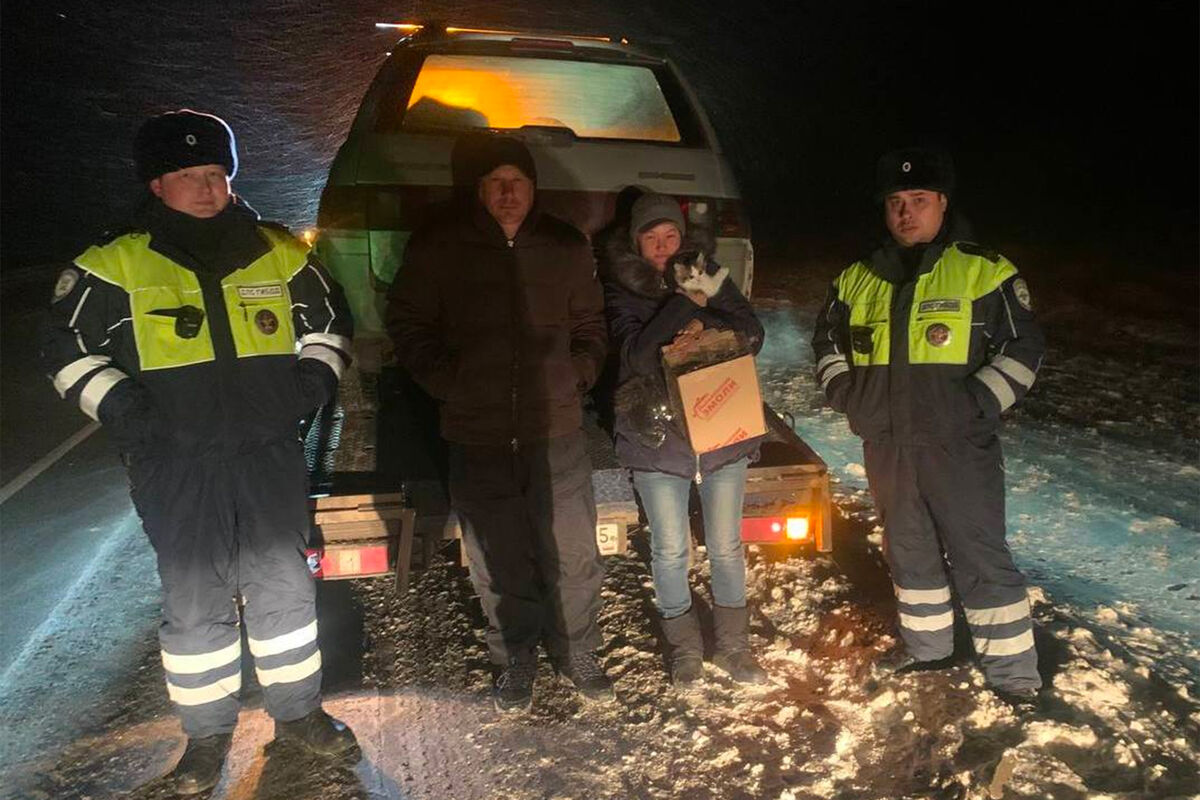 Глухонемые супруги едва не замерзли в заглохшей машине под Омском -  Газета.Ru | Новости