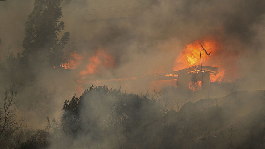 В латиноамериканской стране объявили чрезвычайное положение из-за лесных пожаров
