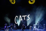 Мюзикл «Кошки» в Швейцарии, 2005 год