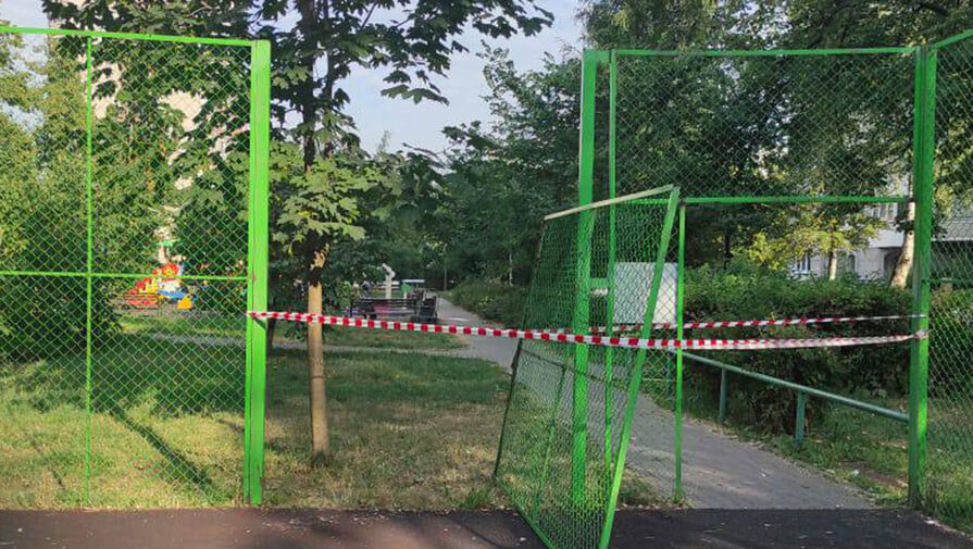 В Москве на семилетнюю девочку упала металлическая сетка на детской площадке