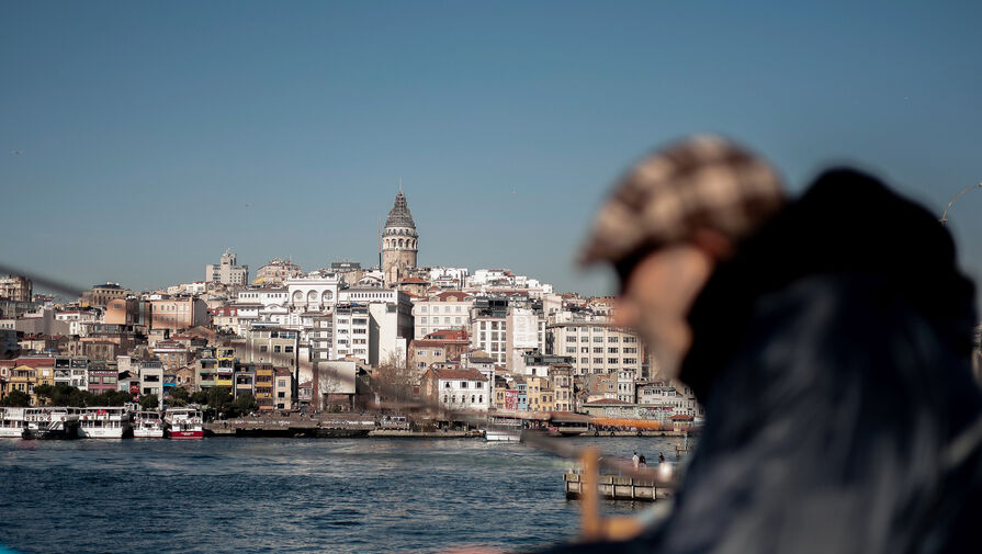 После реставрации Галатской башни в Стамбуле на ней удалось сохранить 400 гнезд стрижей