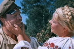 Кадр из фильма «Свадьба в Малиновке» (1967)