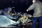 Последствия крушения Boeing 747 над Локерби, 1988 год
