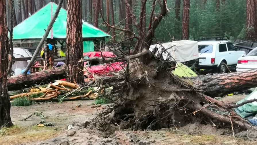 Последствия падения деревьев у&nbsp;озера Маслеево в&nbsp;Дзержинском районе Красноярского края, 5 июля 2020 года