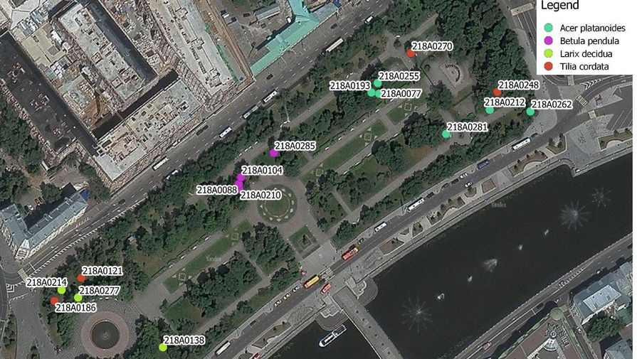 Пользу деревьев в парке Москвы изучили при помощи технологии Интернета вещей
