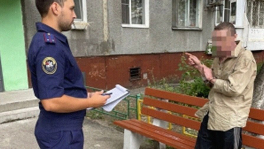 Житель Нижегородской области убил пенсионерку молотком и спрятал ее тело в диван