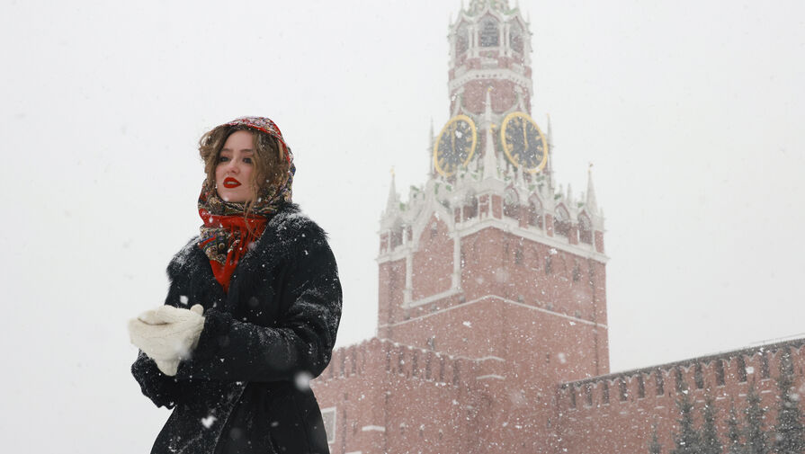 Городские службы Москвы рассказали о работе в снегопад 